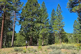 403 Big Grizzly, Portola, CA 96122 - Photo 1