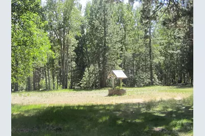 443 Feather River Drive, Chester, CA 96020 - Photo 8