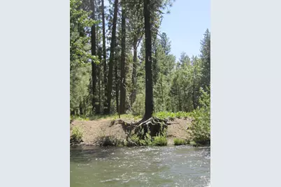 443 Feather River Drive, Chester, CA 96020 - Photo 4