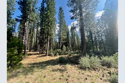 670 Redtail Loop, Clio, CA 96106 - Photo 6