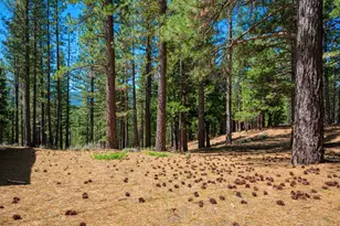 2467 Orchard Ridge Loop, Clio, CA 96106 - Photo 42