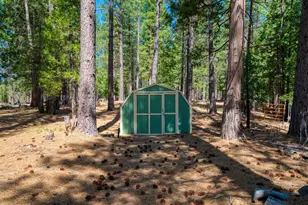 2467 Orchard Ridge Loop, Clio, CA 96106 - Photo 12