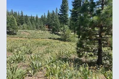 157 Arrowleaf Road, Portola, CA 96122 - Photo 6