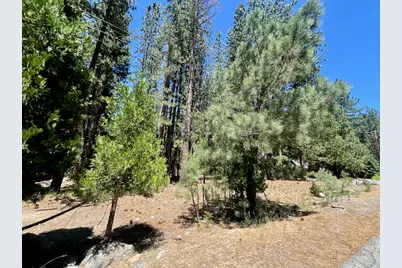 38 Tolowa Trail, Graeagle, CA 96103 - Photo 8