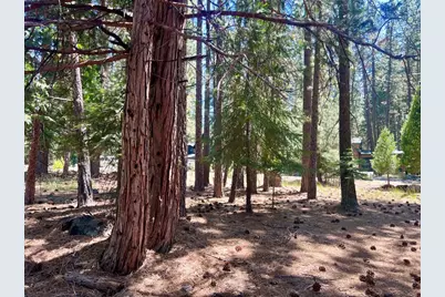 38 Tolowa Trail, Graeagle, CA 96103 - Photo 12