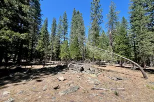 38 Tolowa Trail, Graeagle, CA 96103 - Photo 1