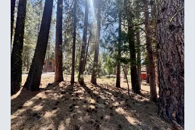 38 Tolowa Trail, Graeagle, CA 96103 - Photo 22