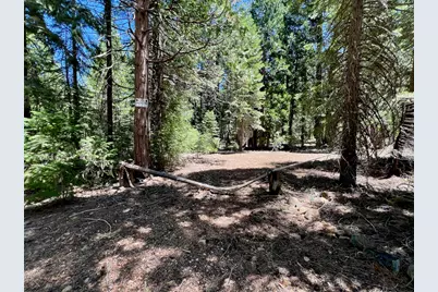 910 Mountain Drive, Johnsville, CA 96103 - Photo 32