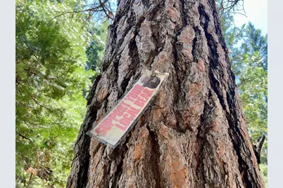 910 Mountain Drive, Johnsville, CA 96103 - Photo 30