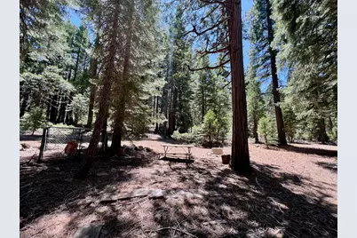 910 Mountain Drive, Johnsville, CA 96103 - Photo 16