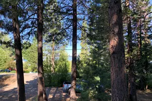 5372 Hwy 147, Lake Almanor, CA 96137 - Photo 2