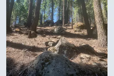 148 Slim Drive, Chester, CA 96020 - Photo 2