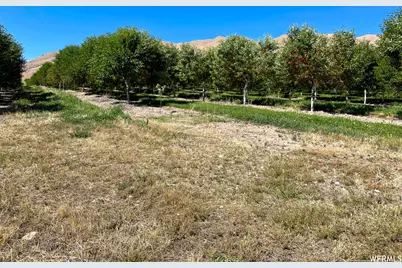 2151 N York Ln #11, Genola, UT 84655 - Photo 4