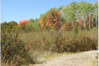 14 E Main Road Dr #14, Fairview, UT 84629 - Photo 2