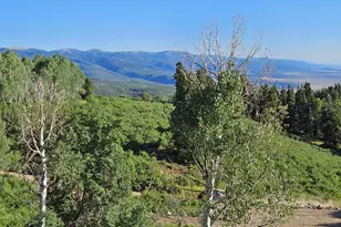 53 N Deer Valley Dr, Fairview, UT 84629 - Photo 6