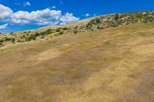 6794 E Hwy 36, Preston, ID 83263 - Photo 66