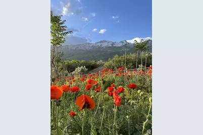 3862 W Oak Hill Dr, Alpine, UT 84004 - Photo 4