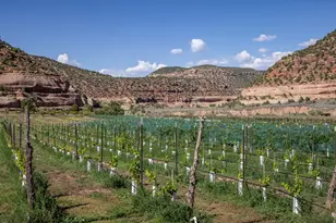 1035 S Montezuma Canyon Rd, Monticello, UT 84535 - Photo 52