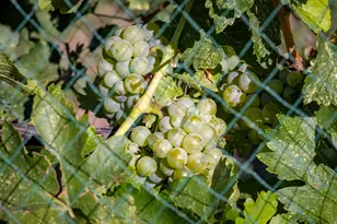 1035 S Montezuma Canyon Rd, Monticello, UT 84535 - Photo 26