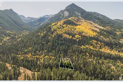 9407 E Wild Clematis Ln S, Salt Lake City, UT 84121 - Photo 6