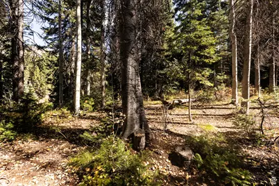 9407 E Wild Clematis Ln S, Salt Lake City, UT 84121 - Photo 40