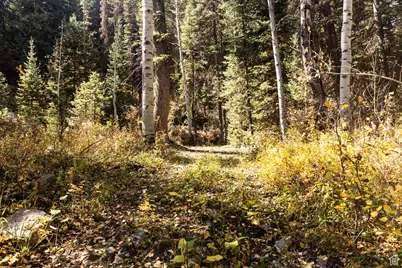 9407 E Wild Clematis Ln S, Salt Lake City, UT 84121 - Photo 34