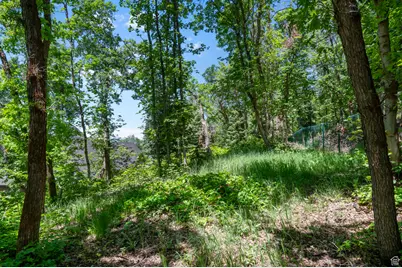 1190 S Eaglenest Dr, Woodland Hills, UT 84653 - Photo 74