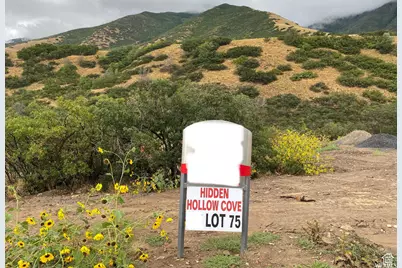 3755 S Mapleton Estates Dr E #75, Mapleton, UT 84664 - Photo 4