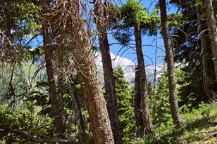13081 E 14575 N Pine Creek Acres N, Mount Pleasant, UT 84647 - Photo 56
