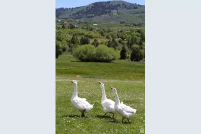 11911 E Antelope Dr #2022, Heber City, UT 84032 - Photo 20