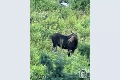 1598 Arapaho Dr #93, Coalville, UT 84017 - Photo 30