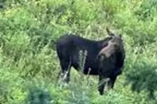 1598 Arapaho Dr, Coalville, UT 84017 - Photo 30