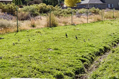 315 S 300 E, Monroe, UT 84754 - Photo 88