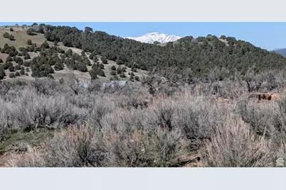 11799 Cove Creek Rd N, Mount Pleasant, UT 84647 - Photo 4