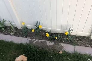 3488 E Fairway Ln S, Spanish Fork, UT 84660 - Photo 6