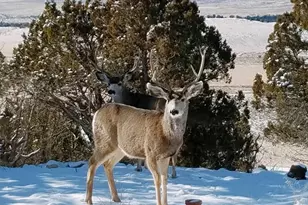 46501 W Bandanna Dr, Fruitland, UT 84027 - Photo 44