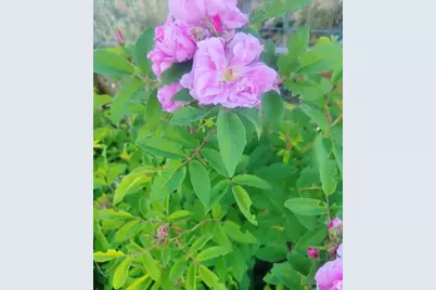 46501 W Bandanna Dr, Fruitland, UT 84027 - Photo 48