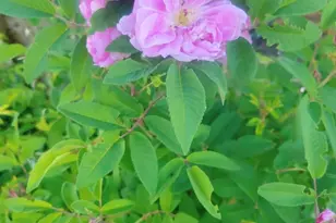 46501 W Bandanna Dr, Fruitland, UT 84027 - Photo 48