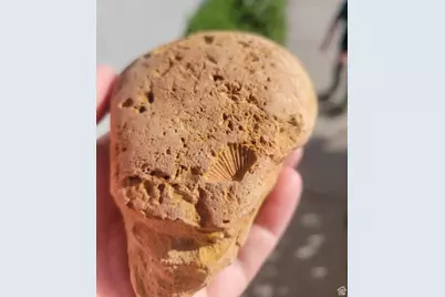 46501 W Bandanna Dr, Fruitland, UT 84027 - Photo 46