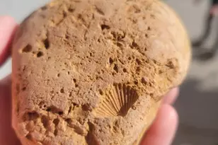 46501 W Bandanna Dr, Fruitland, UT 84027 - Photo 46