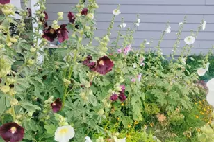 46501 W Bandanna Dr, Fruitland, UT 84027 - Photo 42