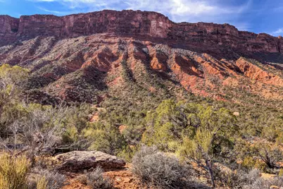 297 Holyoak Ln #297, Castle Valley, UT 84532 - Photo 16