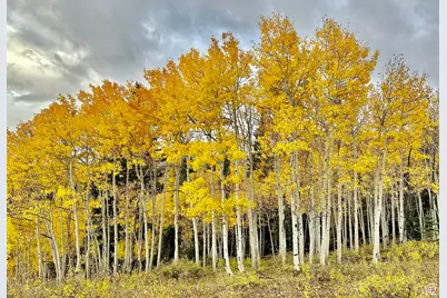 213 S 975 W #4, Torrey, UT 84775 - Photo 14