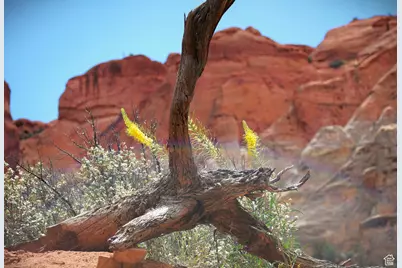 213 S 975 W #4, Torrey, UT 84775 - Photo 30