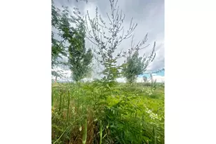 20161 W 5000 S, Duchesne, UT 84021 - Photo 22