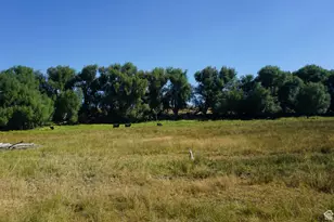 1570 W Main Rd, Wallsburg, UT 84082 - Photo 18