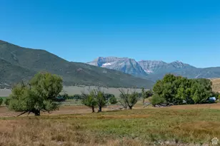 1570 W Main Rd, Wallsburg, UT 84082 - Photo 8