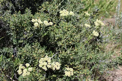 [Address not provided], McCammon, ID 83250 - Photo 14