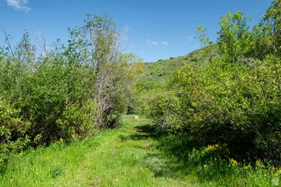 5050 E Weber Canyon Rd, Oakley, UT 84055 - Photo 34