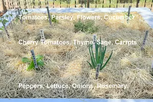 338 E 100 N, Moab, UT 84532 - Photo 34